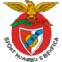 Benfica de Nova Lisboa