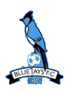 Bluejay FC