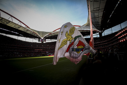 Benfica v Penafiel Liga NOS J32 2014/15