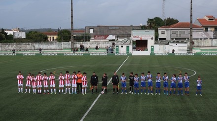 FC Porto 2-0 LeixÃµes