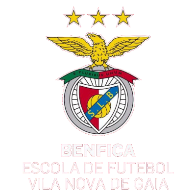 Fut. Benfica V. N. Gaia 9-a-side