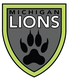 Michigan Lions