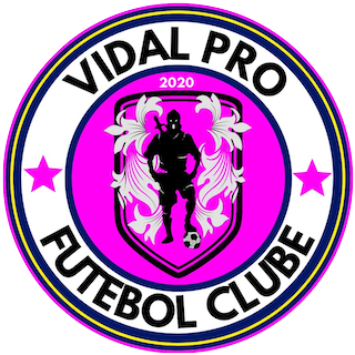 Vidal Pro
