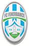 FC Fenerbahce Zurich