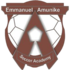 Emmanuel Amunike Academy