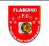 Flamingo FC