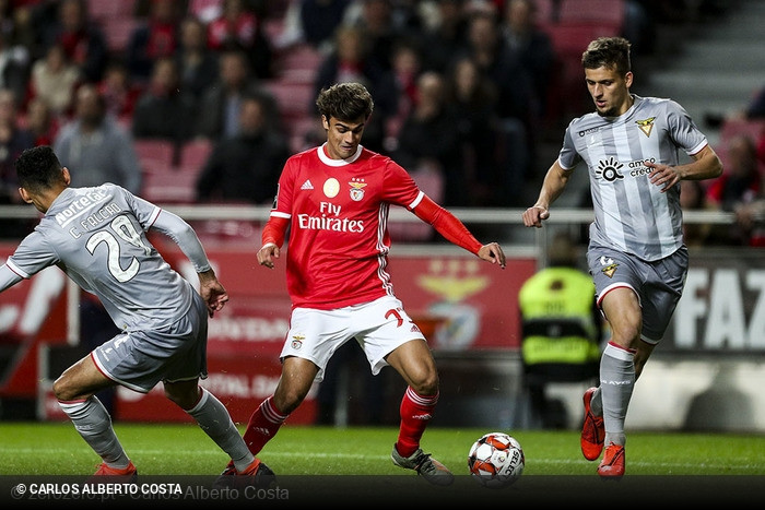 Benfica x CD Aves - Liga NOS 2019/20 - CampeonatoJornada 16